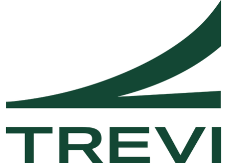 Trevi: logo