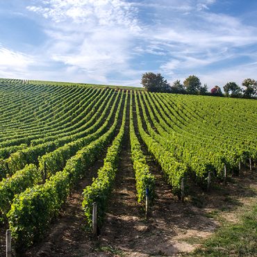 Crémant: proč Francie není jen šampaňské